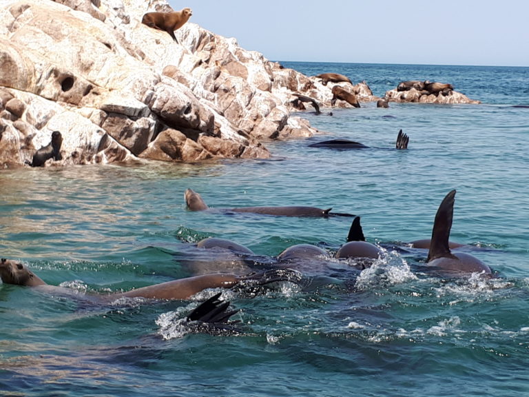 BIRD ISLAND TOUR Eco Fun Adventures